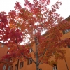 Thumbnail of related posts 064