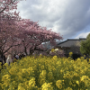Thumbnail of new posts 039